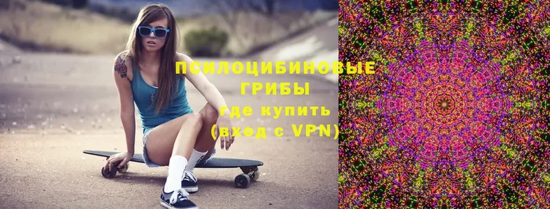 omg как зайти  Гурьевск  Галлюциногенные грибы Psilocybe  что такое  